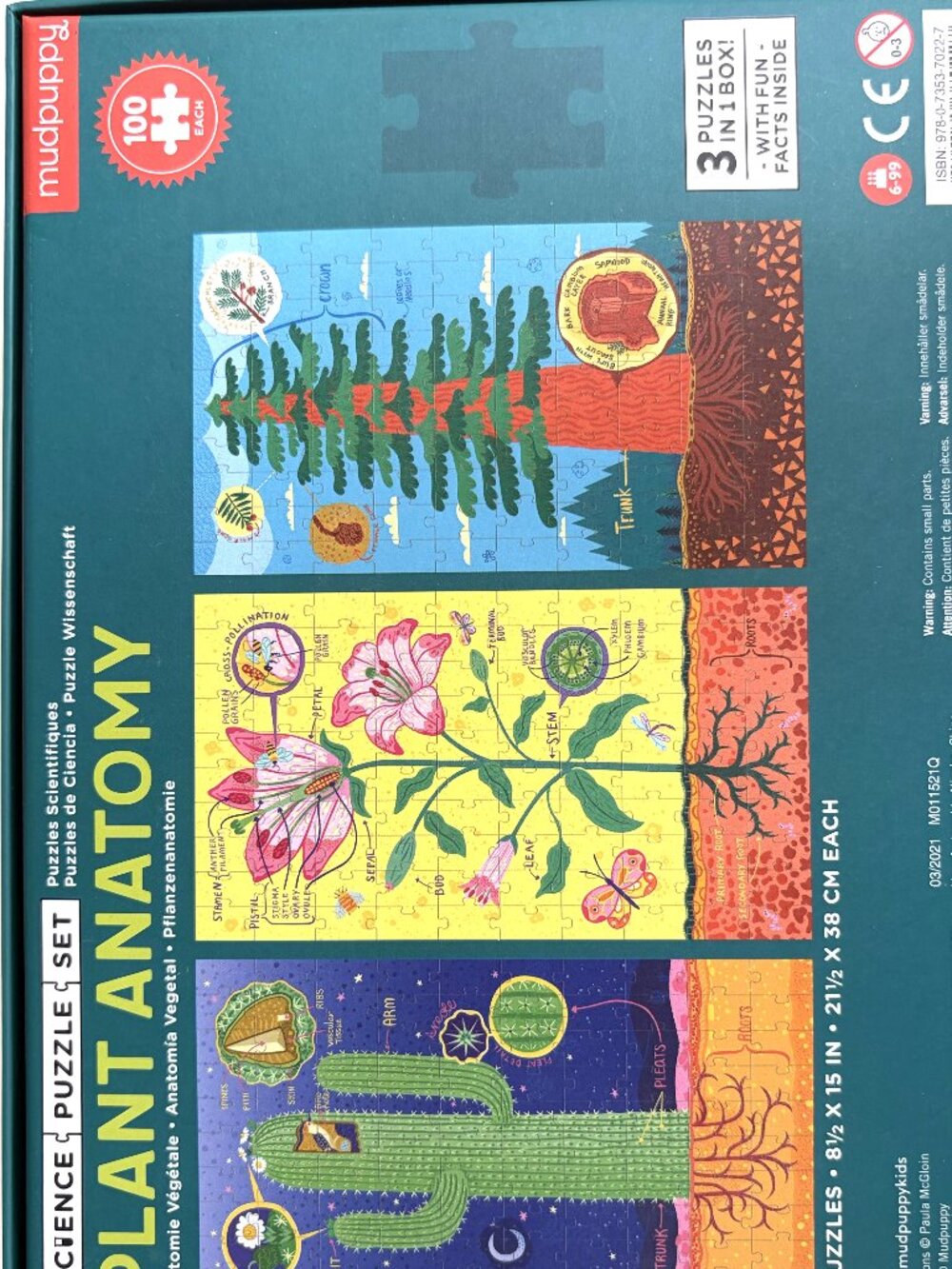 Mudpuppy Plant Anatomy Science Puzzle Set 3-in-1 Educational Kids Puzzle - Picture 6 of 10